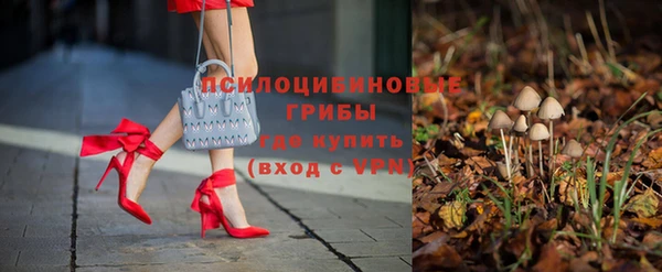 а пвп мука Баксан